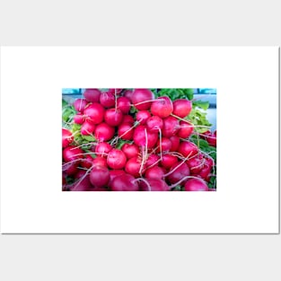 Red Radishes 2 Posters and Art